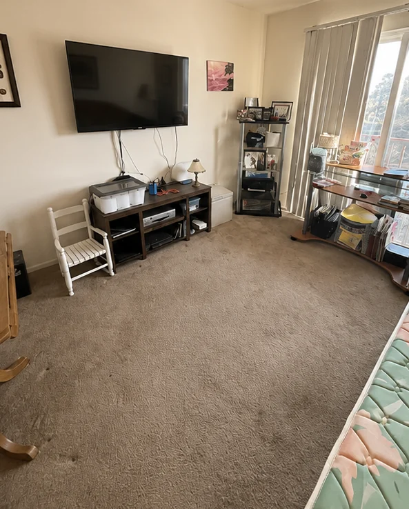 Before: Living room carpet before and after cleaning